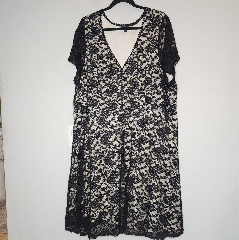 Black Lace Overlay V-Neck Dress